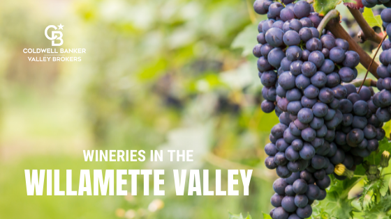 Wineries Willamette Valley