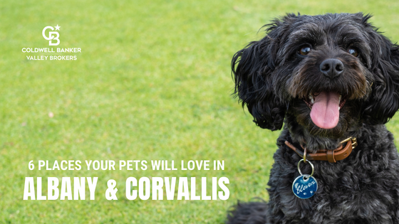 Corvallis Pets